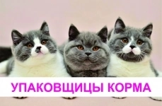 Упаковщица / Фасовщица без опыта / Работа с жильем и авансами в объявлении 1 фото Упаковщица / Фасовщица без опыта / Работа с жильем и авансами картинка из объявления