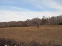 Земельный участок с.Колташево в объявлении 4 фото Земельный участок с.Колташево картинка из объявления