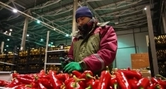 Товаровед-Эксперт плодоовощной продукции картинка из объявления