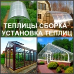 Теплица Воронеж, установка теплиц картинка из объявления