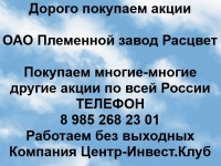 Покупаем акции ОАО Племенной завод Расцвет и любые другие акции в объявлении 1 фото Покупаем акции ОАО Племенной завод Расцвет и любые другие акции картинка из объявления