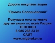 Продать акции «Прииск Соловьёвский» по выгодной цене! в объявлении 1 фото Продать акции «Прииск Соловьёвский» по выгодной цене! картинка из объявления