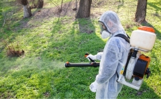 Клещи и Осы обработка дачных земельных участков картинка из объявления