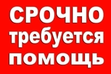 Помощь на сво рф детям в зоне военных действий в объявлении 1 фото Помощь на сво рф детям в зоне военных действий картинка из объявления