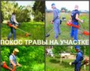 Покос травы Воронеж, косить траву в Воронеже в объявлении 3 фото Покос травы Воронеж, косить траву в Воронеже картинка из объявления