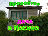 Продаётся недорогая дача в Мосино, г.Владимир в объявлении 1 фото Продаётся недорогая дача в Мосино, г.Владимир картинка из объявления
