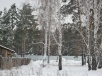 Земельный участок с.Колташево в объявлении 5 фото Земельный участок с.Колташево картинка из объявления