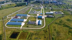 Молочно-товарная ферма на 1200 голов КРС картинка из объявления