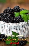 Земельный участок 27 соток в объявлении 1 фото Земельный участок 27 соток картинка из объявления