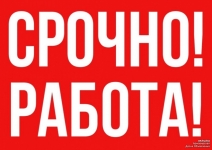 Интеpнет-Kонсультaнт в объявлении 1 фото Интеpнет-Kонсультaнт картинка из объявления