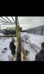 Аренда желобов для приёма бетона. Доставка картинка из объявления