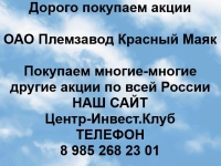 Покупаем акции ОАО Племзавод Красный Маяк и любые другие акции картинка из объявления