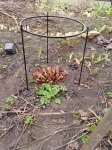 Подставка картинка из объявления