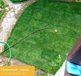 Рулонный газон укладка в объявлении 6 фото Рулонный газон укладка картинка из объявления