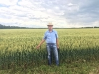 Курс "Технология бинарных посевов в системе No-till"(авторская ра картинка из объявления