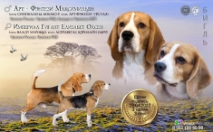 Щенки Бигля (резервирование) в объявлении 6 фото Щенки Бигля (резервирование) картинка из объявления