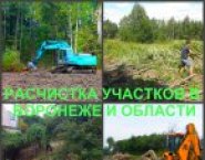 Расчистка Воронеж, расчистка участков в Воронеже в объявлении 4 фото Расчистка Воронеж, расчистка участков в Воронеже картинка из объявления