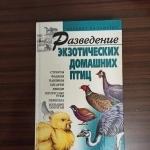 Разведение экзотических домашних птиц"страусы,фазаны,павлины,цеса в объявлении 3 фото Разведение экзотических домашних птиц"страусы,фазаны,павлины,цеса картинка из объявления