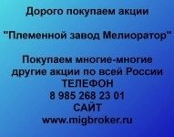 Покупка акций «Племенной завод Мелиоратор» в объявлении 1 фото Покупка акций «Племенной завод Мелиоратор» картинка из объявления