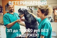 С опытом ветеринарного врача в объявлении 1 фото С опытом ветеринарного врача картинка из объявления