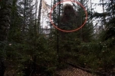 Потомственный Ведун в объявлении 1 фото Потомственный Ведун картинка из объявления